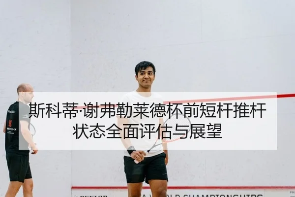 斯科蒂·谢弗勒莱德杯前短杆推杆状态全面评估与展望